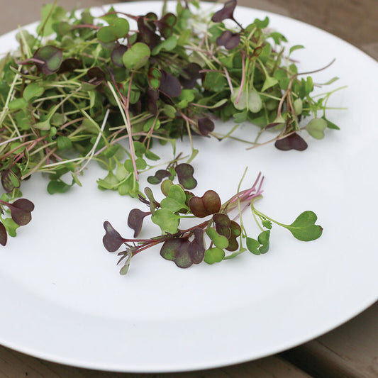 Kale